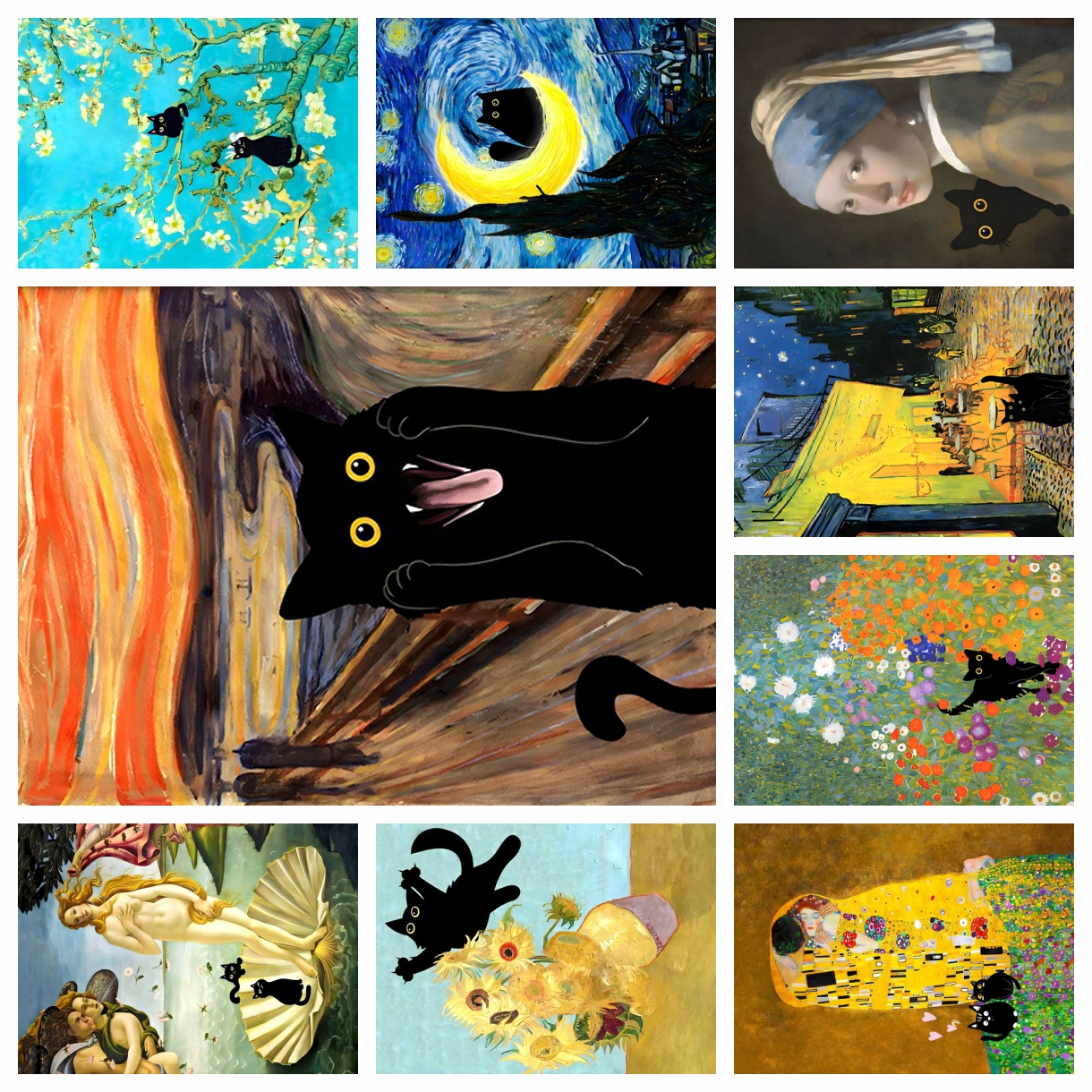 Embroidery Kit - 5D Diamond Painting Funny Cute Black