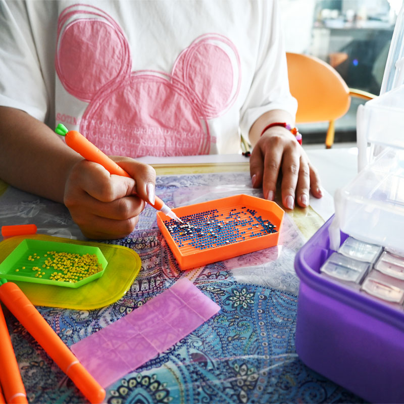 Diamond Embroidery Tools Carro - Embroidery Kit ulasan dan harga